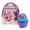 Hatchimals Neonova mavrica enojna embalaža