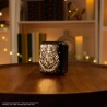 Interaktivna digitalna figura Bitzee Harry Potter
