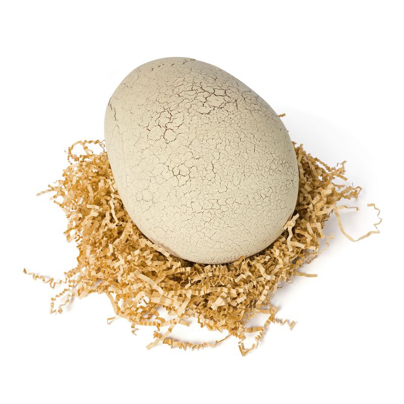 Primal Hatch Dino interaktivni T-rex, ki se valili iz jajca