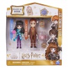 Komplet dveh figuric Harry Potter z dodatki George in Cho